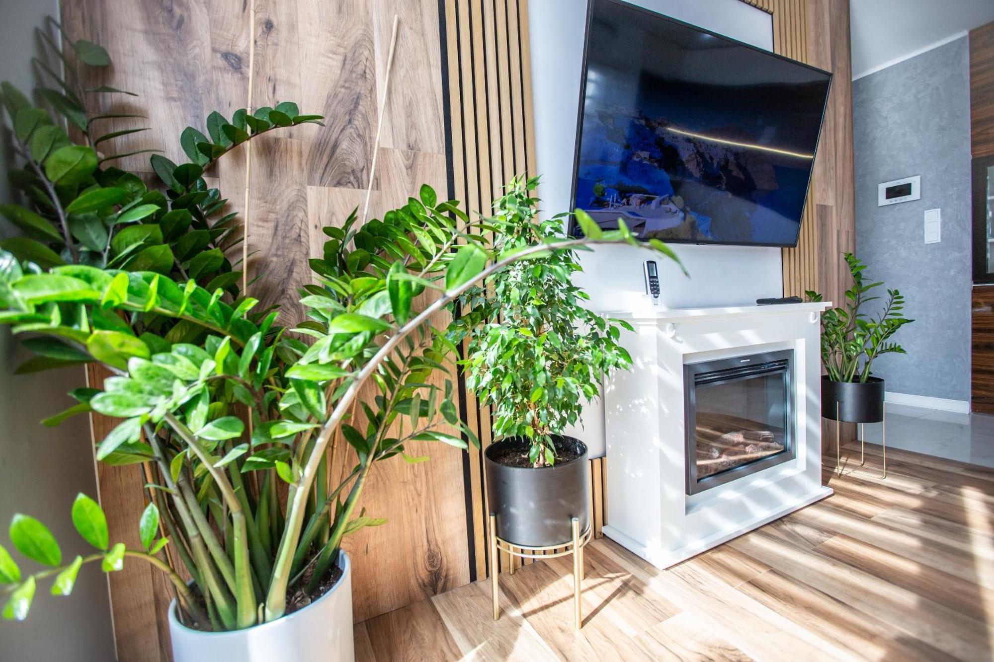 Wlodarska 4A Apartament Premium Kraków Zewnętrze zdjęcie